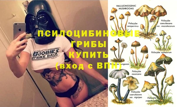 каннабис Алексеевка
