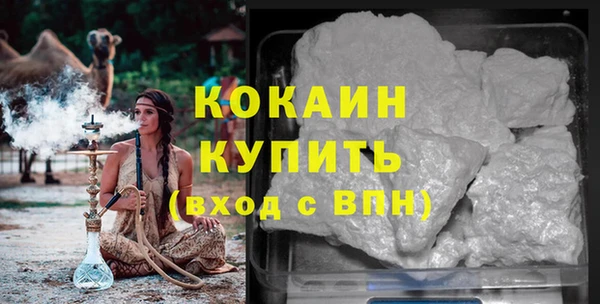 прущие грибы Арсеньев
