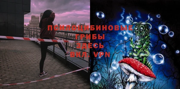 дживик Армянск