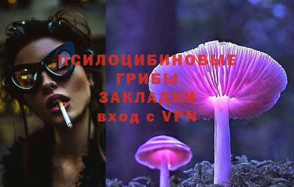дживик Армянск