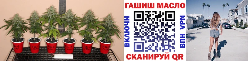 ТГК концентрат  Южно-Сухокумск 